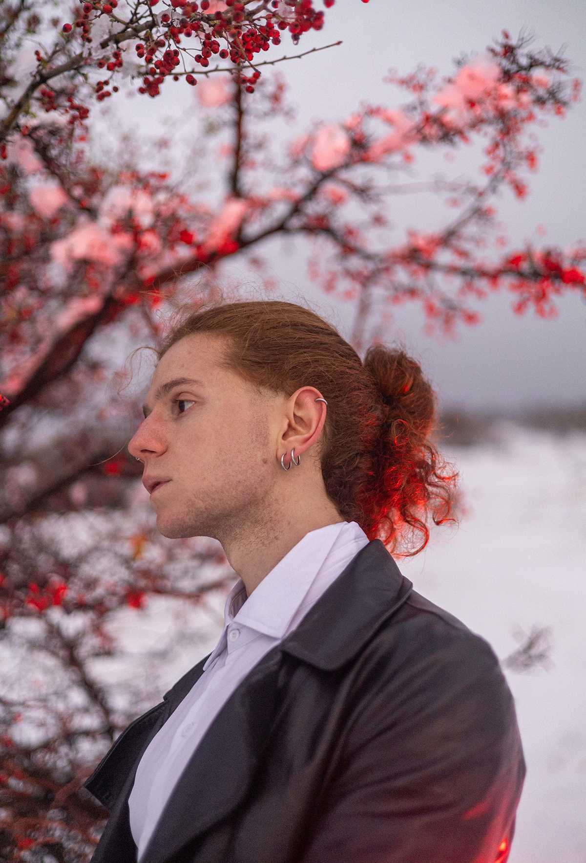 Vise Colorate Prin Lentila - 5