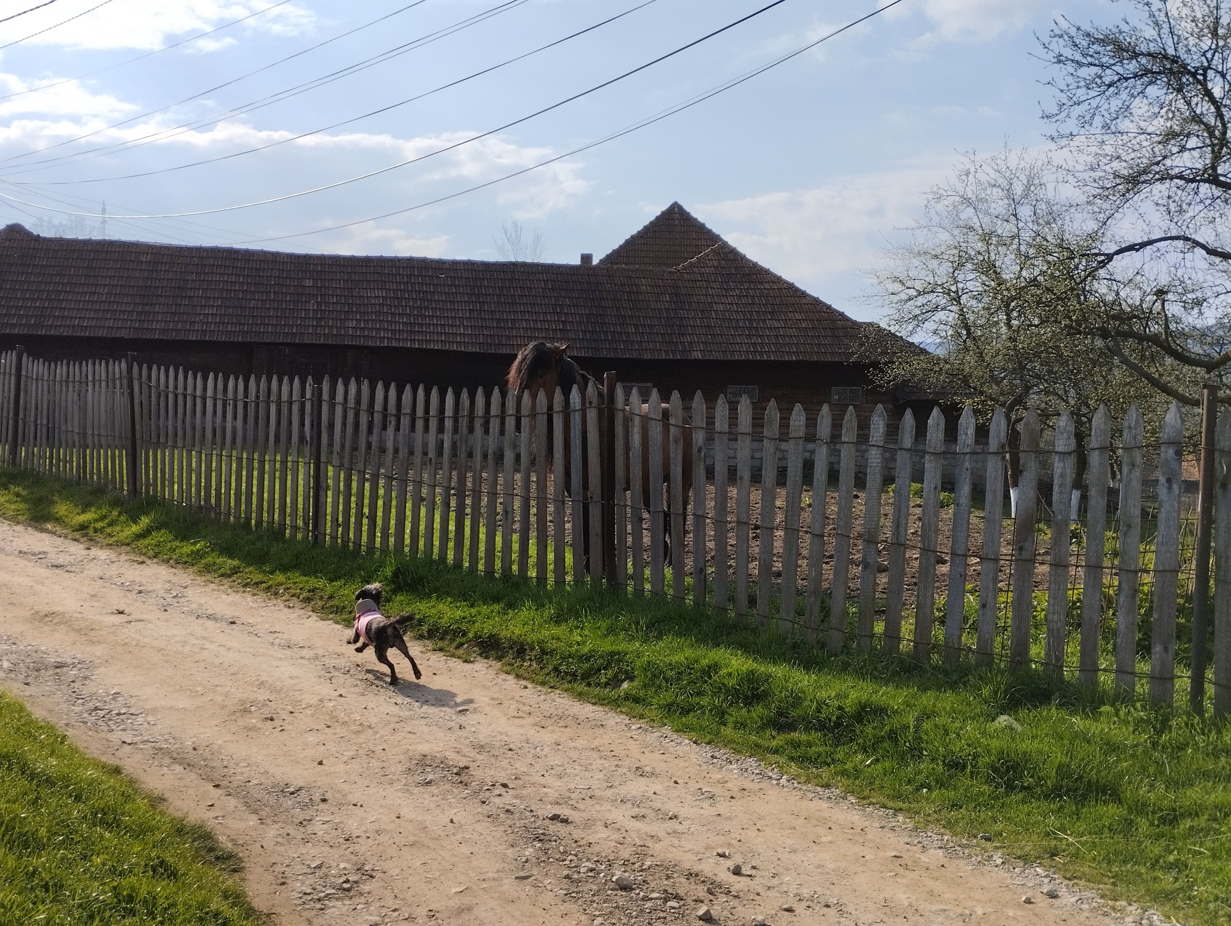 Transilvania Events - 2