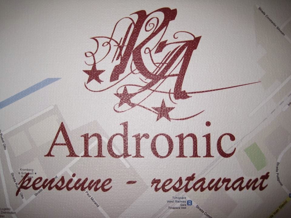 Pensiunea Andronic - 4