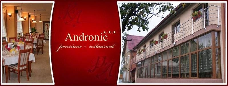 Pensiunea Andronic - 5