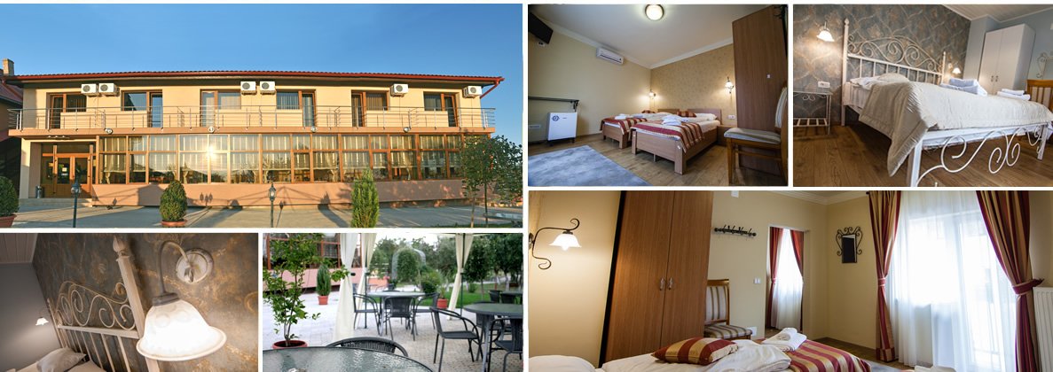 Pensiunea Andronic - 2