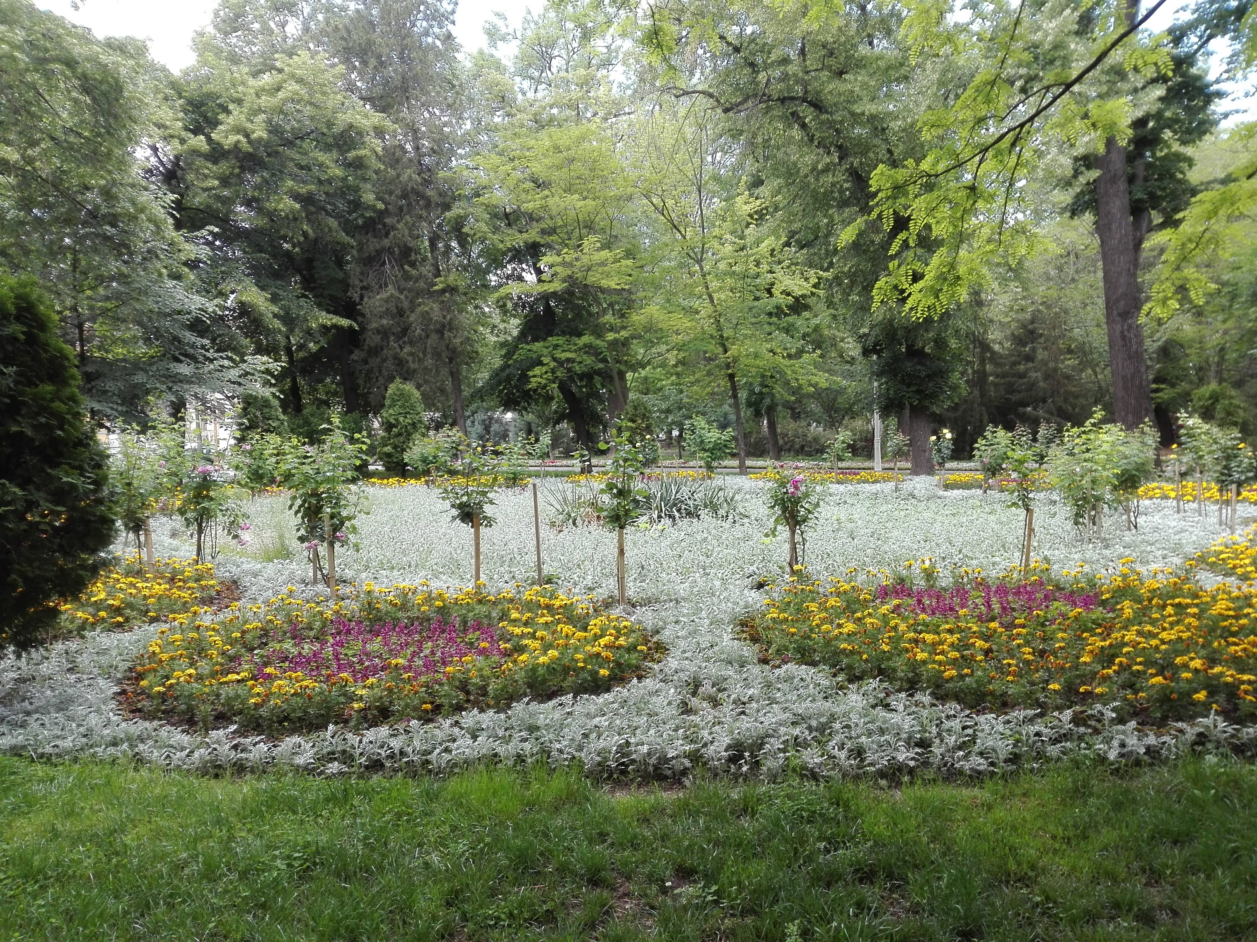 Restaurant "Privighetoarea" Brăila