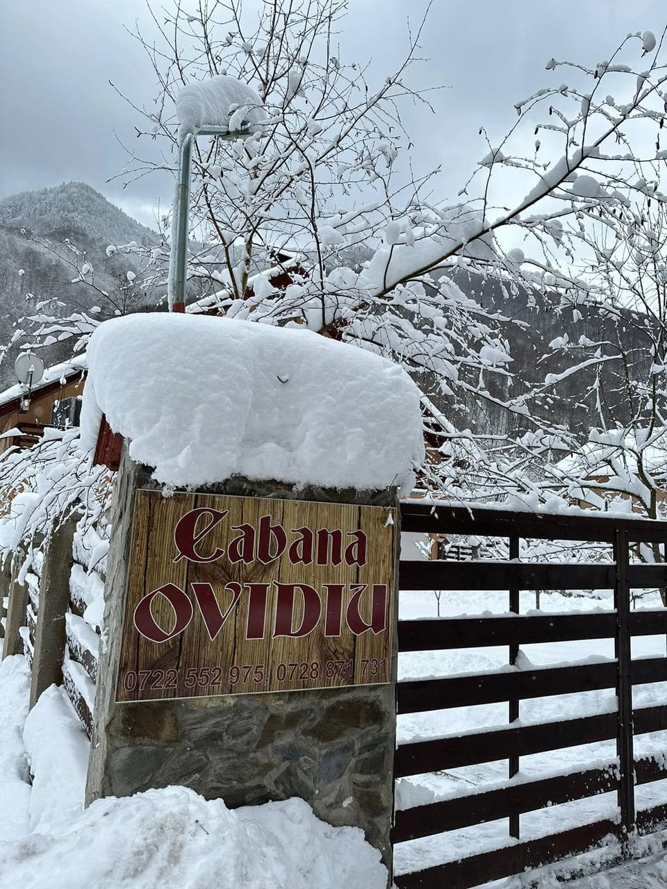 Cabana Ovidiu - 4