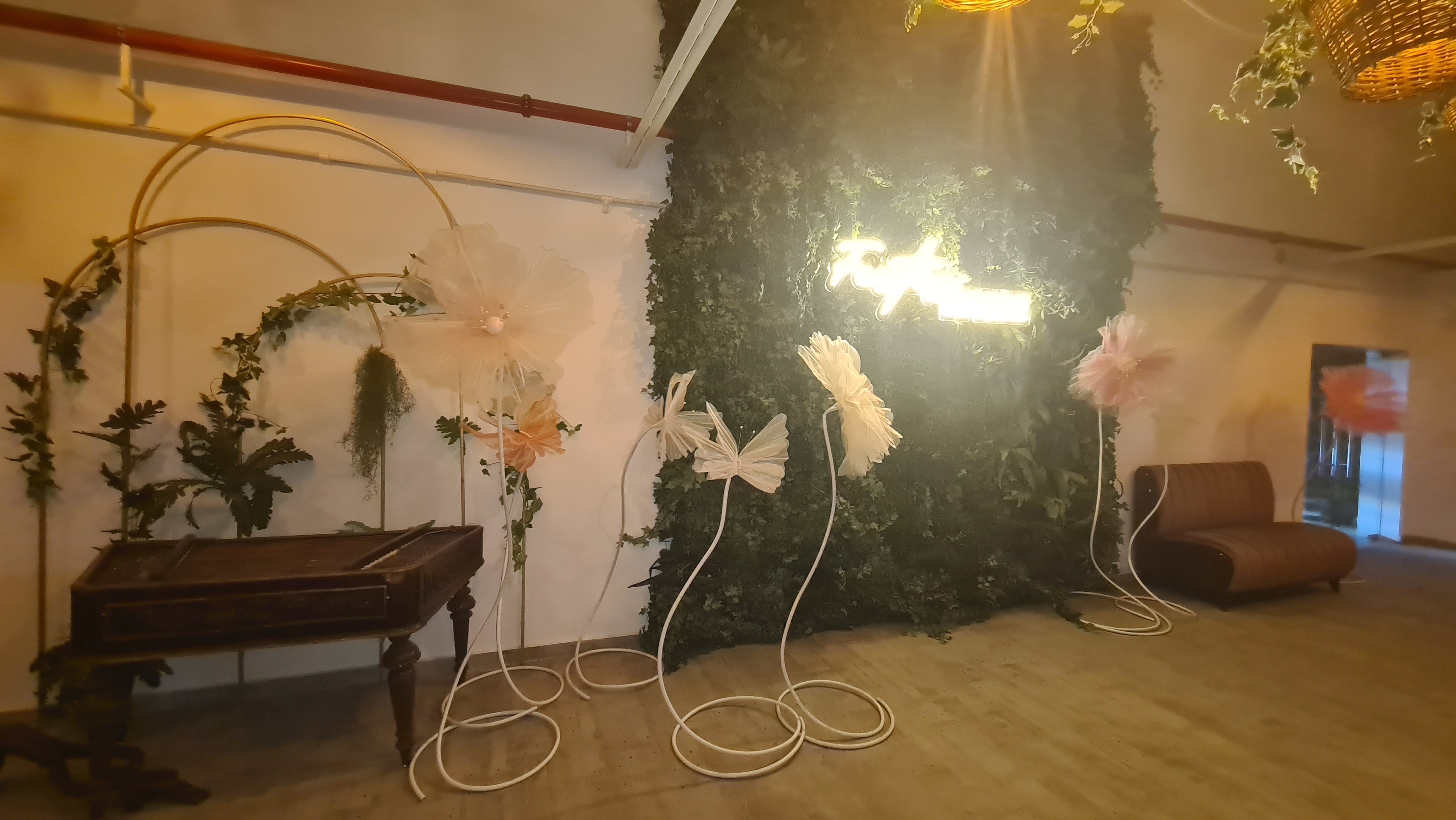 Festiv Halle
